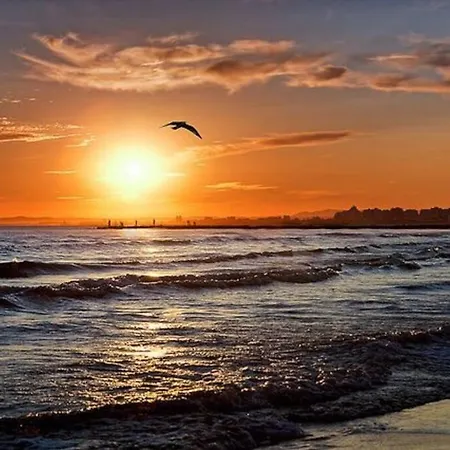 Pgh N11- Terrasse Arboree, Piscine, Parking Prive 拉格朗德默特