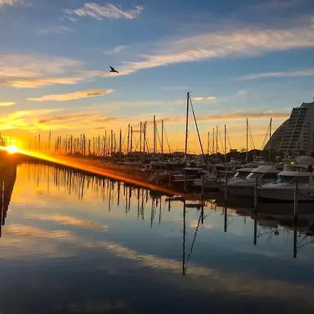 公寓 Pgh N11- Terrasse Arboree, Piscine, Parking Prive 拉格朗德默特