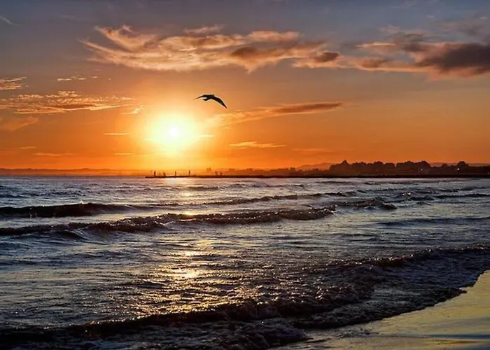 Pgh N11- Terrasse Arboree, Piscine, Parking Prive 拉格朗德默特