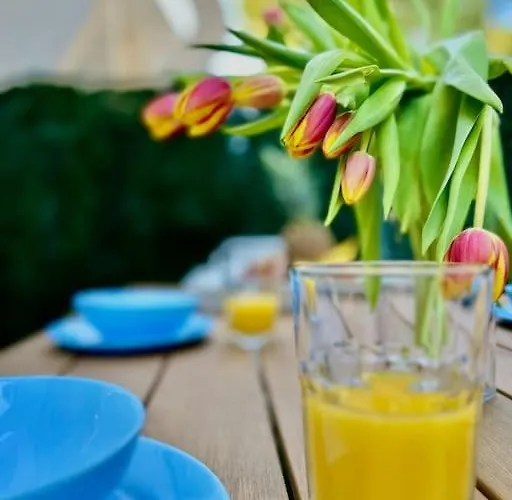 Pgh N11- Terrasse Arboree, Piscine, Parking Prive